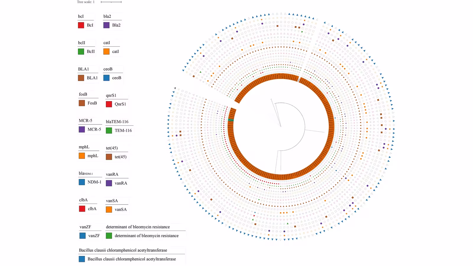 Distribution Characteristics of Antimicrobial-Resistance and Virulence-Associated Genes of Bacillus cereus in Animal-Origin Food in Guangzhou, China.