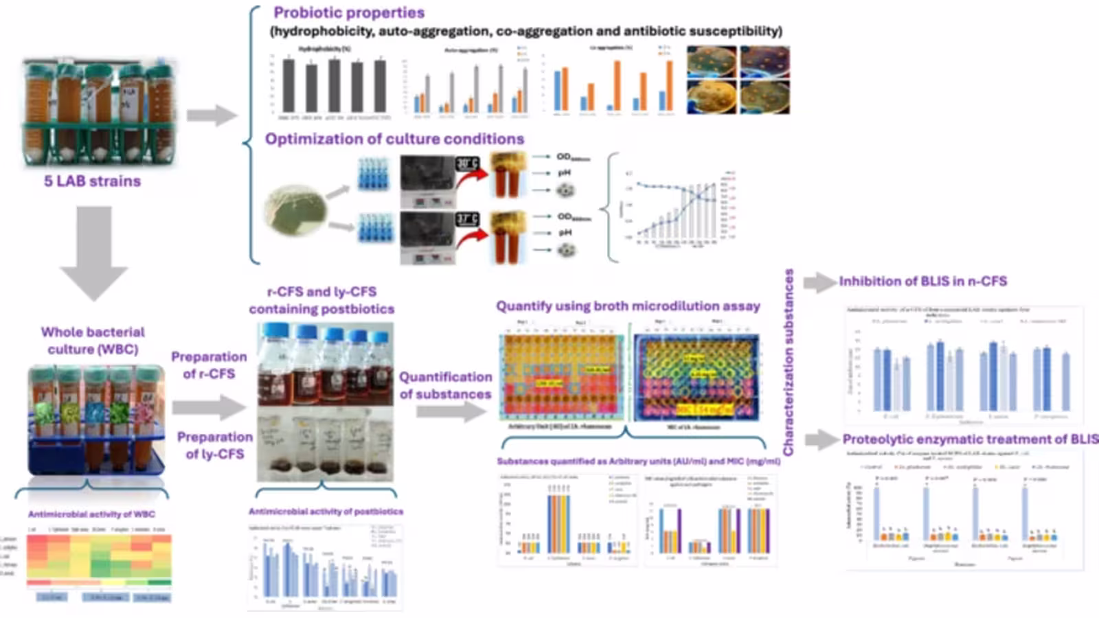 Evaluation of Probiotic Properties and Antimicrobial Substances Produced by Five Lactic Acid Bacteria Against Foodborne and Spoilage Pathogens.